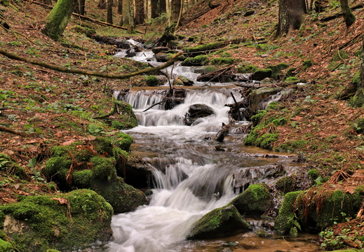 Kněžná