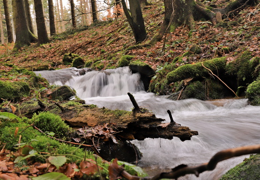 Kněžná