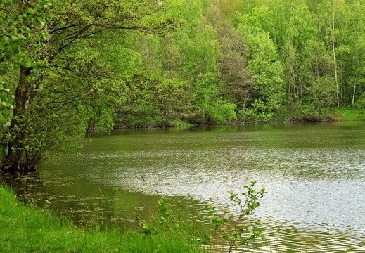 Kačerovské rybníky