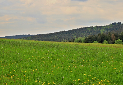 Kačerovské rybníky