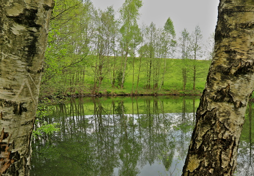 Kačerovské rybníky