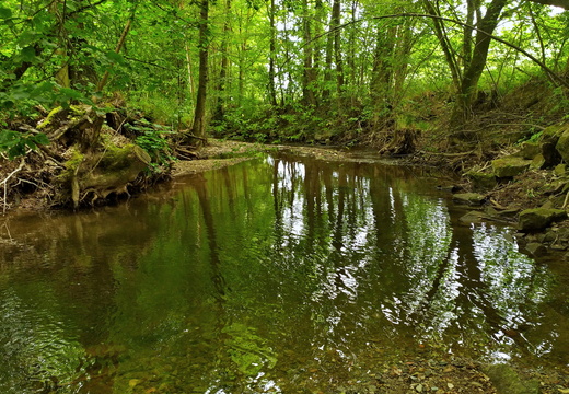 přírodní památka Dědina u Dobrušky